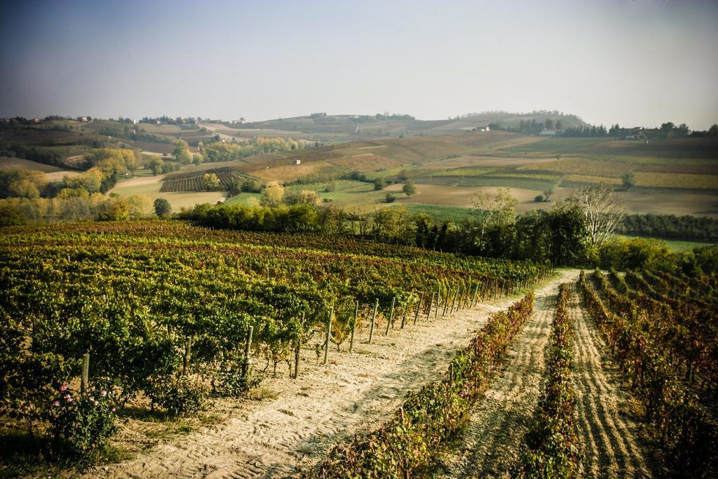 Naturalmente Wine Resort Agliano Terme Ngoại thất bức ảnh
