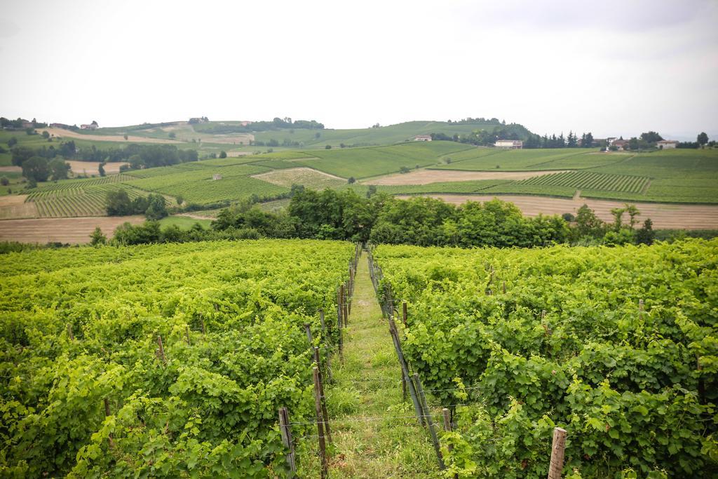 Naturalmente Wine Resort Agliano Terme Ngoại thất bức ảnh