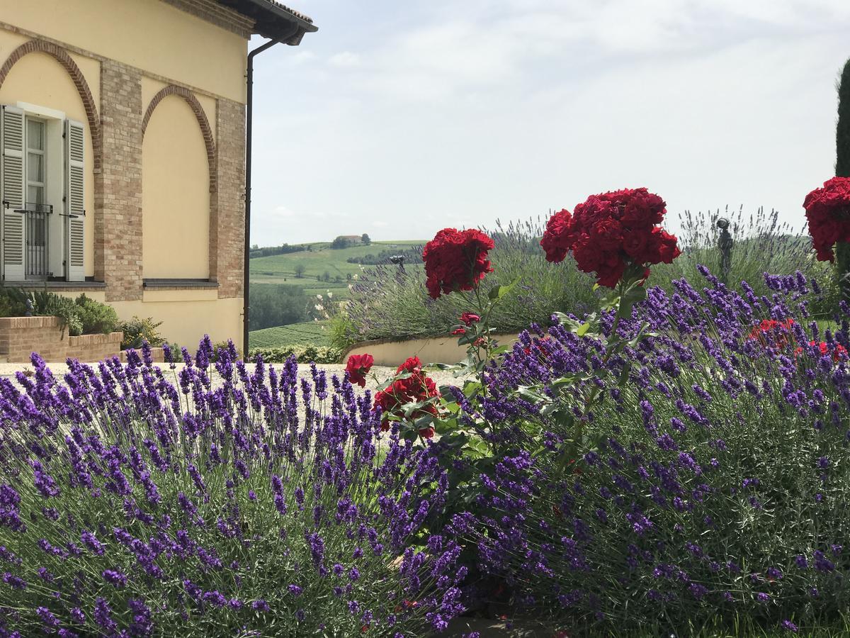 Naturalmente Wine Resort Agliano Terme Ngoại thất bức ảnh